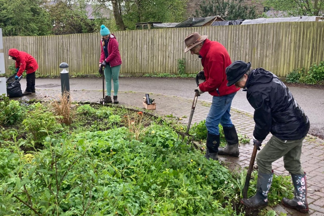 Five people in red and black jackets gardening, digging in a green area.